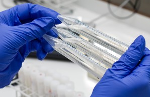 Institute of Neuropathology