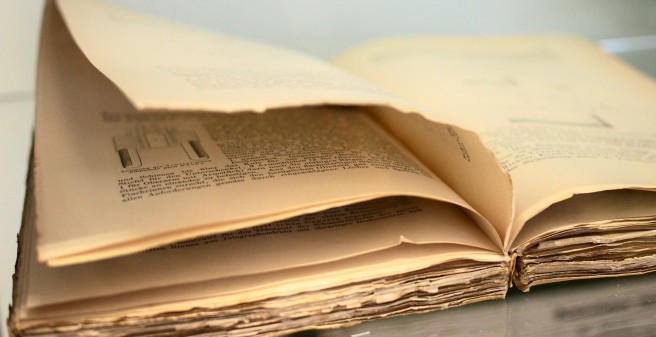 publications, panzeri