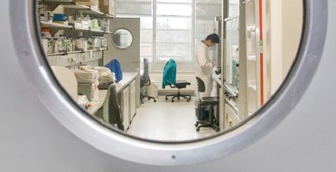 Blick durch rundes Türfenster in Labor